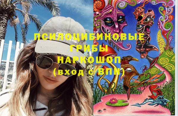 Альфа ПВП Дмитровск