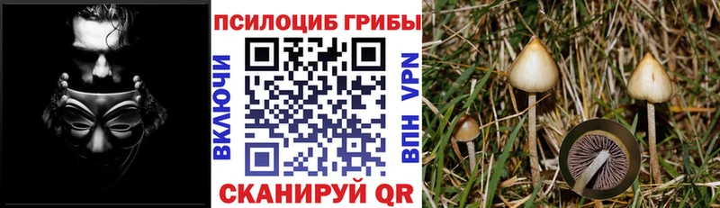 Галлюциногенные грибы прущие грибы  что такое   Карабаново 
